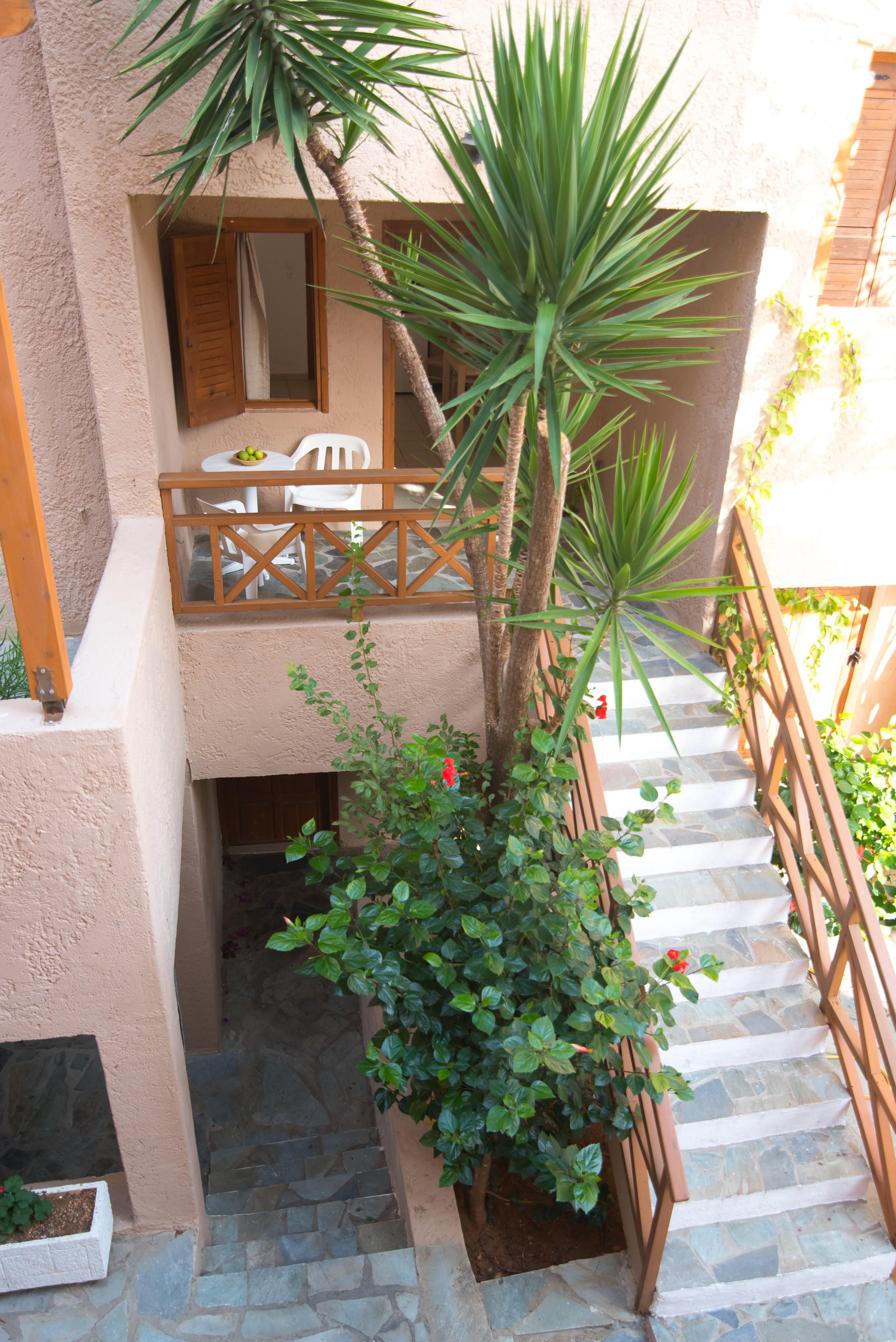 Anna Maria Hotel Malia Buitenkant foto