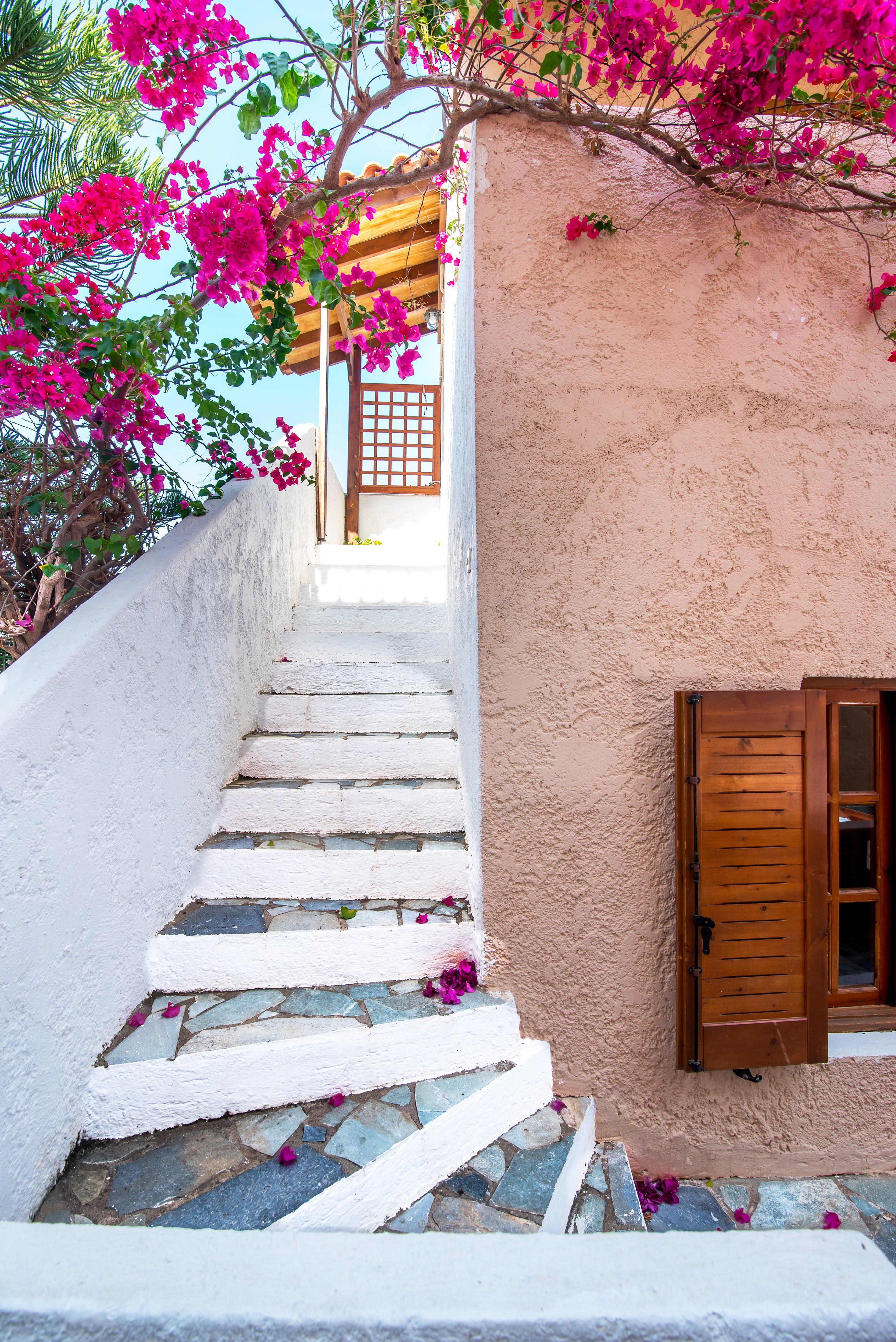 Anna Maria Hotel Malia Buitenkant foto